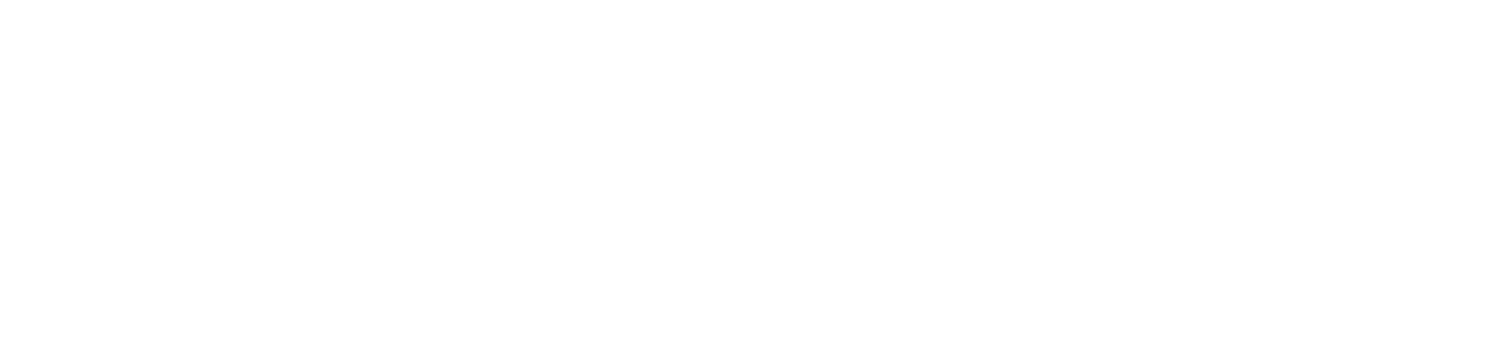 J.W. Taylor Human Services Consulting 